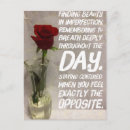 Recherche de imperfection Rose