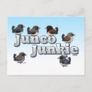 Search for snowbird postcards Cute