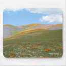 Recherche de nature tapis souris Paysages