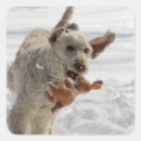 Search for mini golf equipment Cute