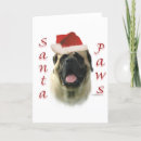Search for english mastiff christmas cards Fawn