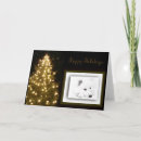 Recherche de esquimau américain vœux cartes Vacances