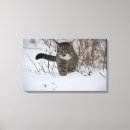 Recherche de hiver impressions sur toile Neige