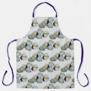 Search for clam aprons Shells
