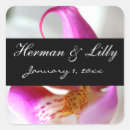 Search for inside stickers Stylish