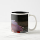 Search for spoonbills mugs Roseate spoonbill