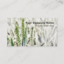 Recherche de champ de blé cartes visite Nature