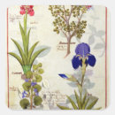 Search for medicinal plants stickers Testard