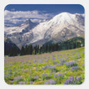 Search for mt rainier national park stickers Np
