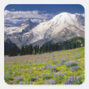 Search for mt rainier stickers Landscape