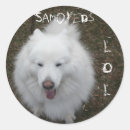 Search for fur stickers Fluffy
