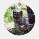 Search for kittens ornaments For her