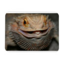 Recherche de barbu magnets Porter