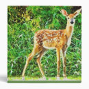 Search for deer fawns binders Animal