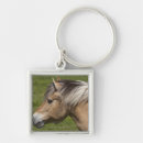 Search for fjord horse Horizontal