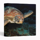 Search for turtle binders Sealife