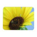 Search for bee stuff photography Yellow