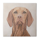 Recherche de hongrois carreaux Vizsla