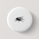 Search for buddy round buttons Fly