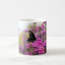Search for colorful butterfly mugs Purple