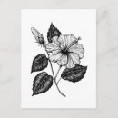 Search for vector drawing cards invites Nature