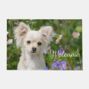 Search for chihuahua doormats Puppy