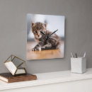 Search for tiny clocks Cute