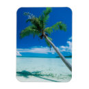 Recherche de polynésie magnets Palmier