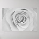 Recherche de fleurs noires et blanches posters Pour tous