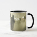 Search for wild horses running mugs Galloping