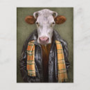 Recherche de cow cartes postales Drôle