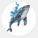 Search for humpback whale stickers Sea