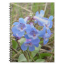 Recherche de cloches photographie Photographie de la nature