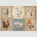 Search for goat tissue paper Sheep