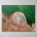 Search for abstraction photography For her