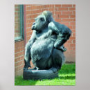 Search for gorilla posters Nature
