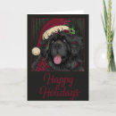 Search for black bear christmas cards Santa