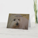 Recherche de coton tulear vœux cartes Chien