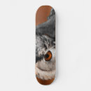 Recherche de regarde skateboards Hibou