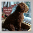 Recherche de funny dog art Canine