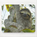 Search for adoreable mousepads Sloth