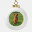 Search for red lab ornaments Dog lover
