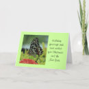 Search for insect christmas cards Butterfly
