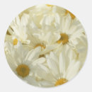 Recherche de pouces autocollants Blanc