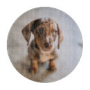 Search for dachshund cutting boards Canine