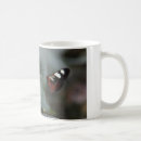 Recherche de papillons tasses Friend