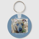 Search for pit bull keychains Puppy