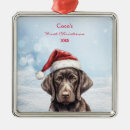 Search for gsp dog ornaments Pet