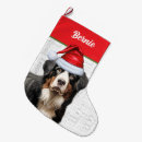 Search for bernese mountain dog christmas stockings Animals