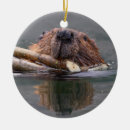 Search for beaver decor Animal lover